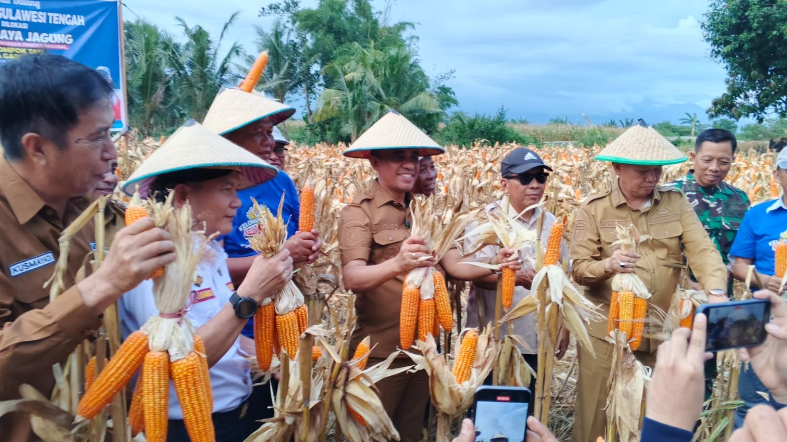 Hasilkan Ratusan Ton, Kelompok Tani Kelapa Gading KJST Sulteng Perdana Panen Raya Jagung di Sigi