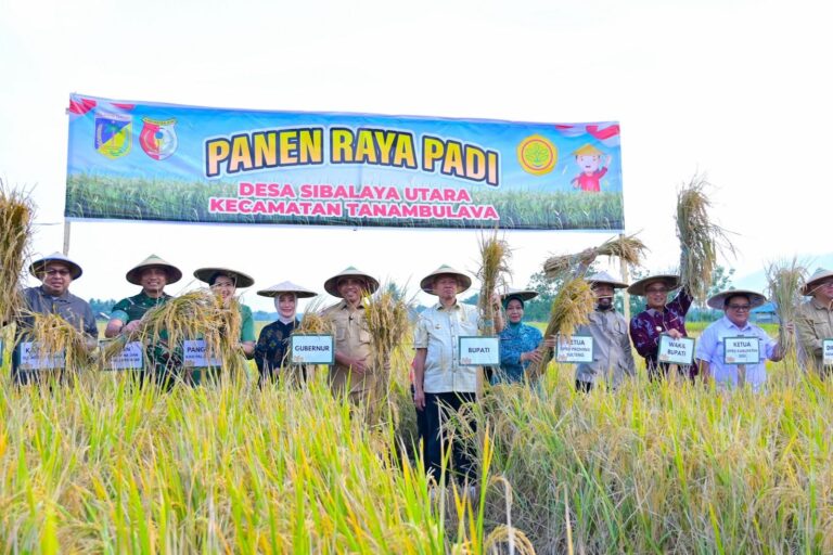 Panen Raya Padi Perdana, Lumbung Pangan Pertanian di Kabupaten Sigi